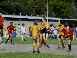 0DIA 1988 RAVA B1
